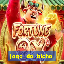 jogo do bicho crash bingo